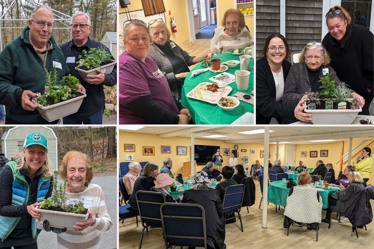 Home Instead Sprouts Joy at Council On Aging Event collage