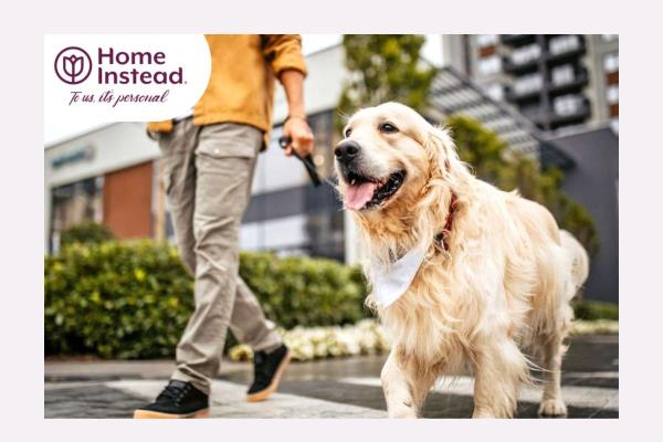 Home Instead Explains the Importance of Pet Care Post-Rehab